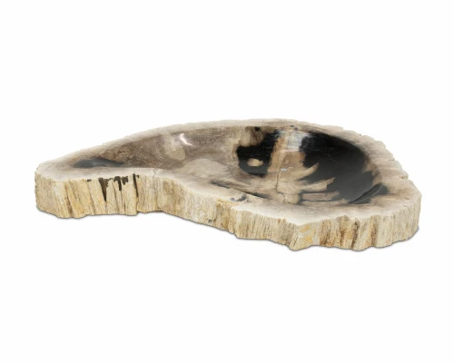 Patera ze skamieniałego drewna – 38 cm