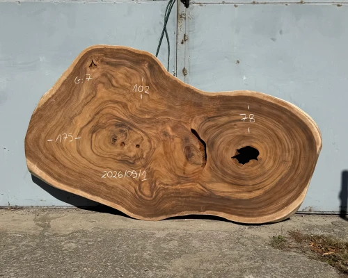 Blat na stolik kawowy z drewna suar – 175 cm