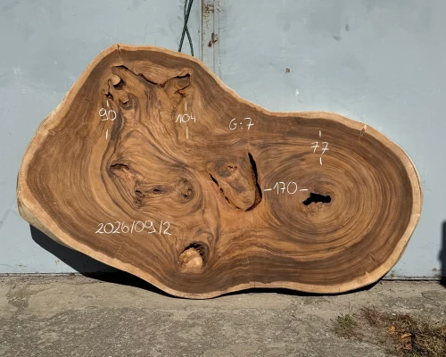 Blat na stolik kawowy z drewna suar – 170 cm