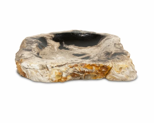 Patera ze skamieniałego drewna – 28 cm