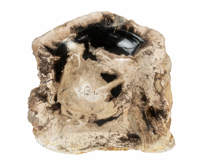 patera-ze-skamienialego-drewna-28-cm.webp